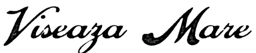 viseazamare logo